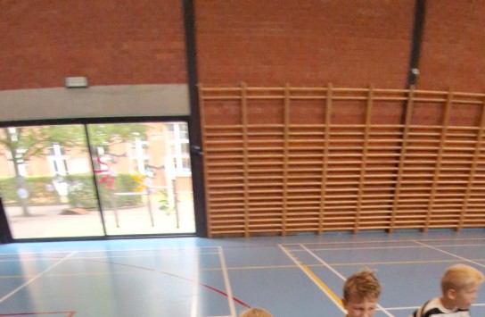  (vergroot foto)