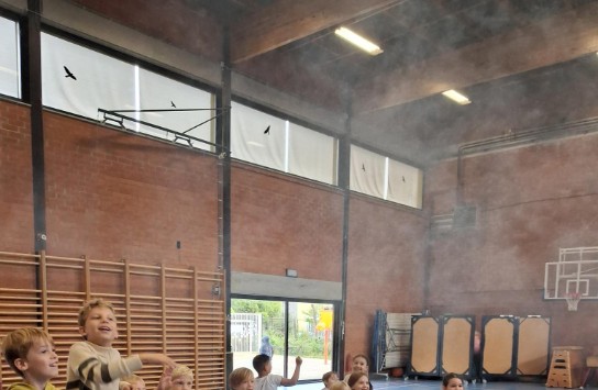  (vergroot foto)