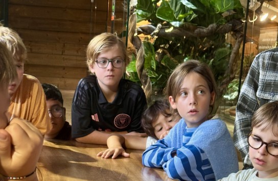 (vergroot foto)