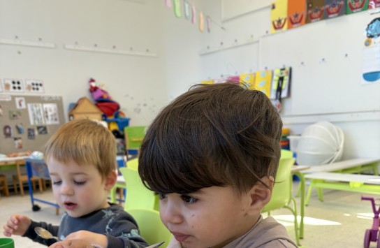  (vergroot foto)