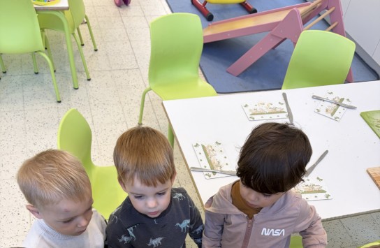  (vergroot foto)