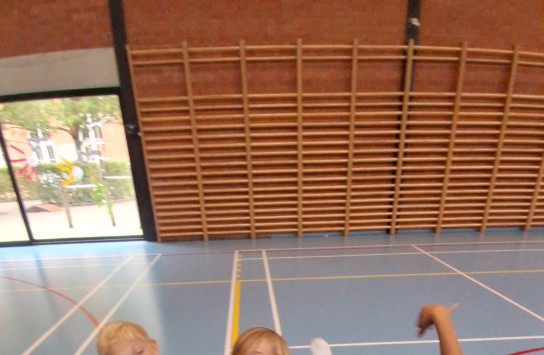  (vergroot foto)