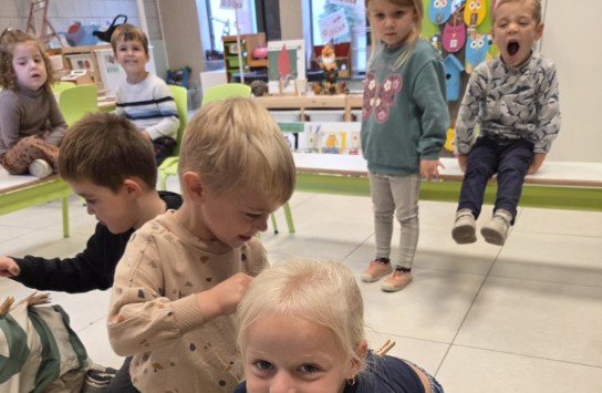 (vergroot foto)