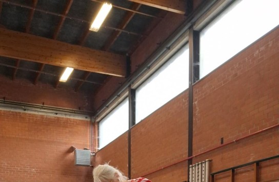  (vergroot foto)