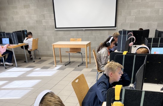 (vergroot foto)