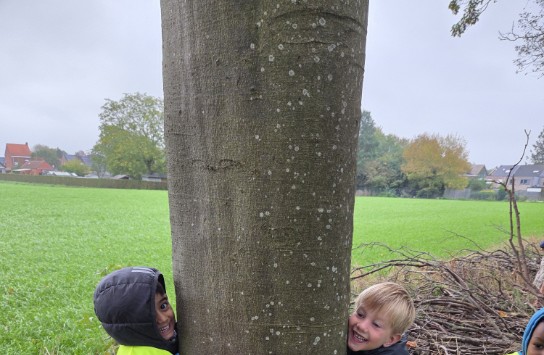 (vergroot foto)
