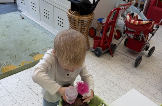  (vergroot foto)