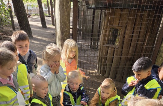(vergroot foto)