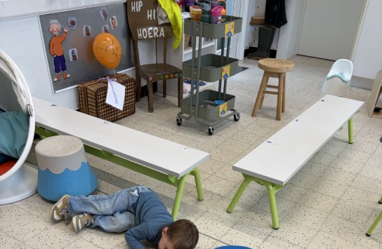  (vergroot foto)