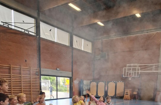  (vergroot foto)