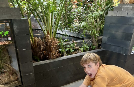 (vergroot foto)