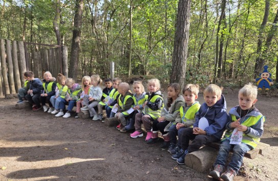 (vergroot foto)