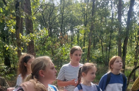  (vergroot foto)