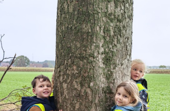 (vergroot foto)