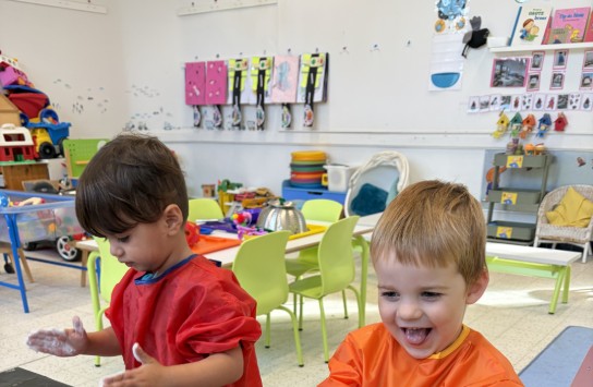  (vergroot foto)