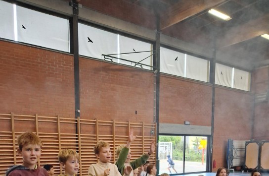  (vergroot foto)