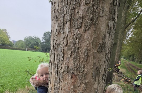 (vergroot foto)