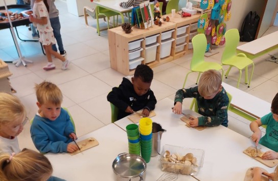 (vergroot foto)