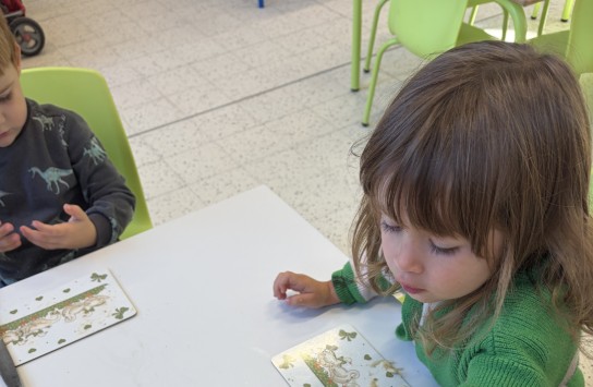  (vergroot foto)