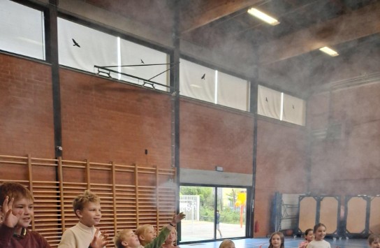  (vergroot foto)
