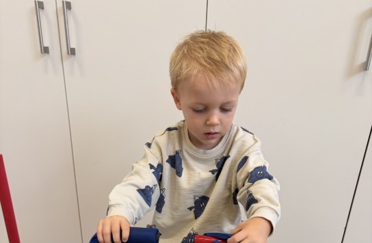  (vergroot foto)