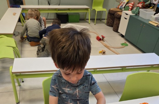 (vergroot foto)