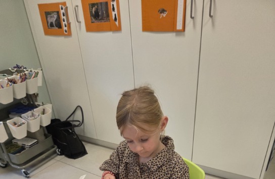 (vergroot foto)